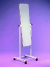POSTURE MIRRORS