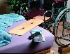 TRANSFER BOARD WITH NOTCHES