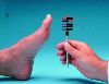 West Hand And Foot Monofilaments Skin Sensitivity